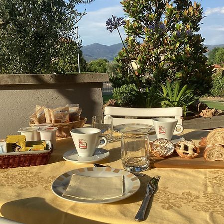 Villa Orsini - A Retreat In Pisa - Food And Relax Exterior foto